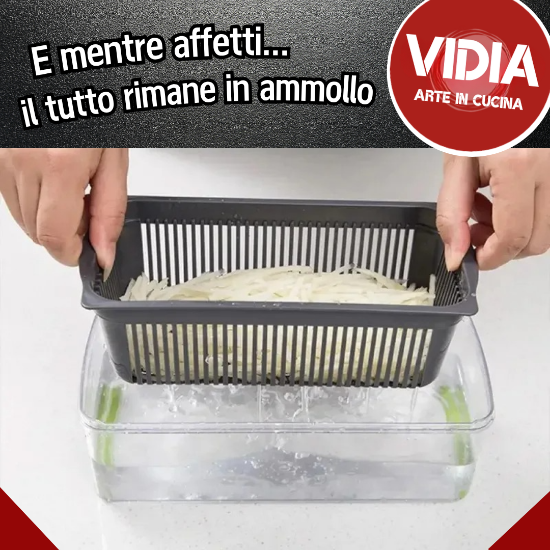 VIDIA La tua Affettatrice Professionale!